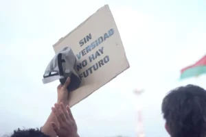 La comunidad universitaria se moviliza en defensa del financiamiento educativo imagen-2