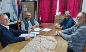 El Alcázar proyecta una subestación eléctrica para impulsar su desarrollo industrial imagen-1
