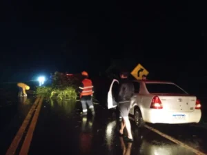 Anegamiento y caída de árboles, las consecuencias del temporal en Puerto Libertad y Wanda imagen-2