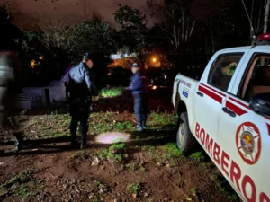 Crecida del río Uruguay: seis familias evacuadas en El Soberbio y disponen el cierre del puerto imagen-1