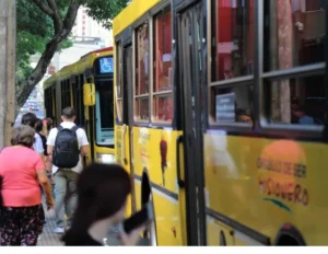 Passalacqua anunció que colectivos serán gratuitos este domingo 8 de junio imagen-2