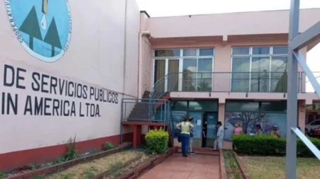 Las lluvias, trajeron beneficios en Jardín América imagen-9