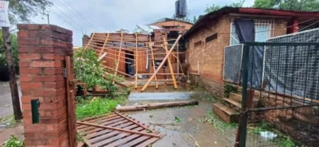 Bomberos de Iguazú recibieron más de 50 pedidos de auxilio y continúan trabajando imagen-10