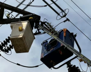 Ejecutan trabajos de mantenimiento de líneas de alta tensión en Posadas imagen-1