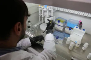 Organismos científicos en alerta ante el agravamiento de la situación de la ciencia y tecnología imagen-2
