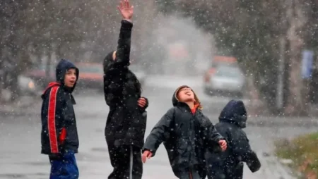 Caen copos de nieve en el Conurbano: el fenómeno sorprendió a vecinos de Pilar y José C. Paz imagen-16