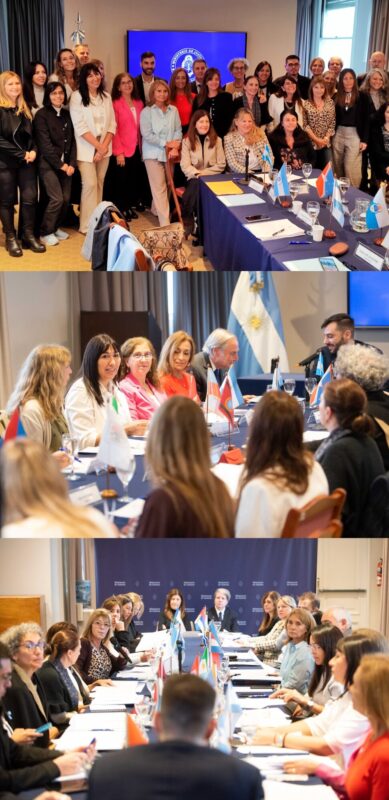 Misiones presente en el 30º Consejo Consultivo de la Dirección Nacional del Registro Único de Aspirantes a la Guarda con Fines Adoptivos imagen-77