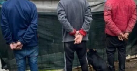 La insólita reacción del perro de una banda narco cuando la Policía sacó la foto de la detención imagen-7