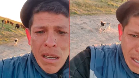 Despedida que duele: peón rural paraguayo perdió su trabajo y rompió en llanto al dejar a su perro imagen-12