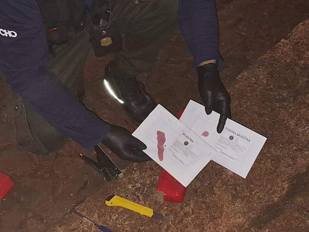 Secuestran más de 300 kilos de droga en la zona del Alto Uruguay imagen-5