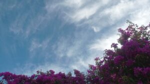 Fin de semana fresco y arranque de semana con frío intenso en Posadas imagen-1
