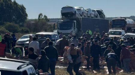 Saquearon un camión cargado de carne que volcó en la Ruta 14 en Entre Ríos imagen-14