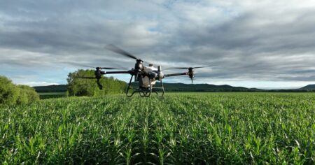 Del mosquito a los drones, no fue magia imagen-6