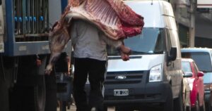 Difunden dos nuevos cortes vacunos en Argentina: cuáles son y qué características tienen imagen-3