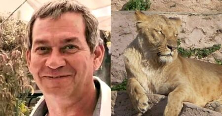 Quién era el CEO alemán que fue devorado por una leona en un safari de lujo imagen-14