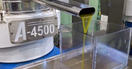 El aceite de oliva se hace fuerte en San Juan: sello de origen y nueva planta envasadora imagen-12