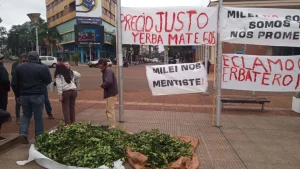 Análisis semanal: El lado salvaje de la utopía libertaria y el modelo misionero que integra orden fiscal y Estado presente imagen-6