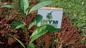 Impulsan la disolución del INYM con traspaso de sus recursos a la agroindustria imagen-1