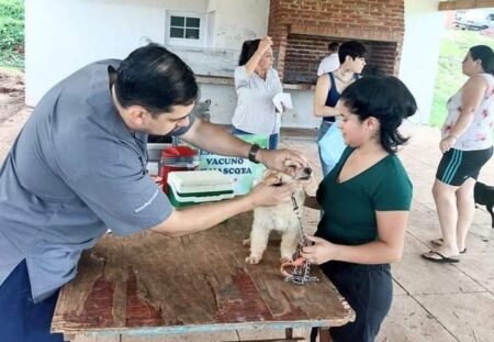 El Centro de Veterinaria y Zoonosis de Eldorado estará presente este miércoles en el Barrio Virgen del Rosario imagen-68