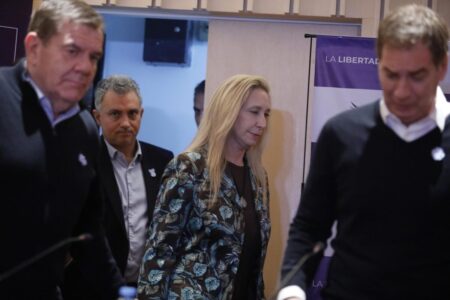 La importancia de la elección bonaerense imagen-9