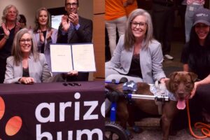 La firmó Katie Hobbs: la nueva ley que protege a los animales en Arizona con multas de hasta US$2500 imagen-2