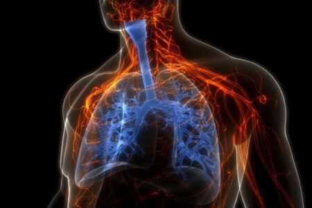 La mejor fruta para limpiar los pulmones: ayuda a eliminar toxinas y reduce la inflamación en las vías respiratorias imagen-9