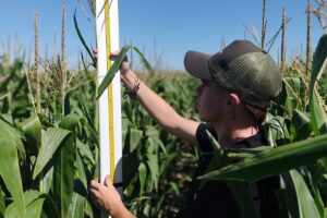 Iniciativa de productores: crearon un centro de formación, ofrecen una carrera universitaria y se lanzaron a la investigación imagen-1