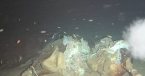 China lanzó una vaca al fondo del mar y lo que apareció dejó a los científicos en shock imagen-3