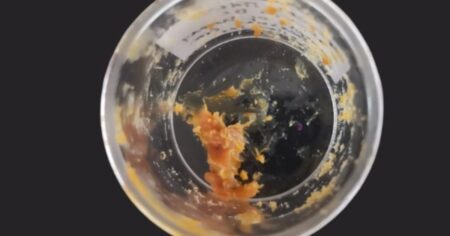 Finalmente identificaron qué es el misterioso "regalo a los dioses" de 2.500 años de antigüedad imagen-9