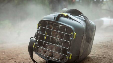 El fenómeno de ciencia ficción español de Prime Video volverá dos años después: su primera película secuela será realidad en 2026 imagen-5
