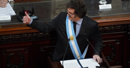 "Los espero el 11 de diciembre": Javier Milei desafió al Congreso y anticipó que irá a la Justicia si le rechazan los vetos imagen-13