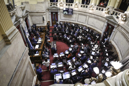 Desde el Senado se asoma un frente de tormenta para Milei imagen-5