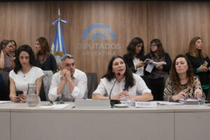 Diputados le pone límites a los discursos de odio del Gobierno imagen-2
