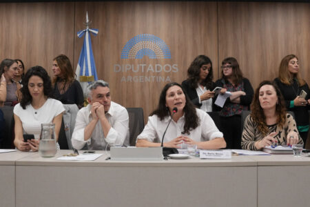 Diputados le pone límites a los discursos de odio del Gobierno imagen-6