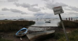 Cómo detectar si una playa tiene aguas contaminadas antes de meterte imagen-4