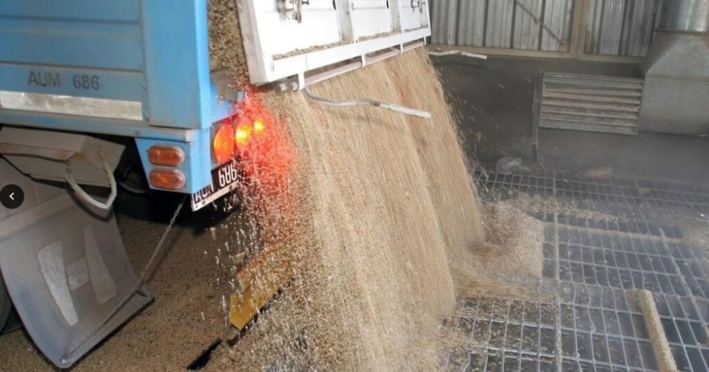 El acuerdo con Bunge para vender harina de soja a China es absolutamente central imagen-100