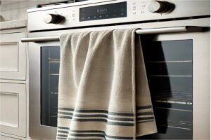 Por qué no hay que colgar el repasador en la puerta del horno, según expertos imagen-1