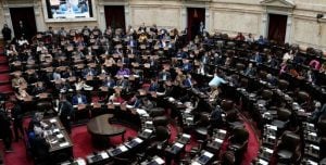La Cámara de Diputados se prepara para el debate por los vetos que Milei prevé aplicar a las leyes de jubilaciones y discapacidad imagen-1