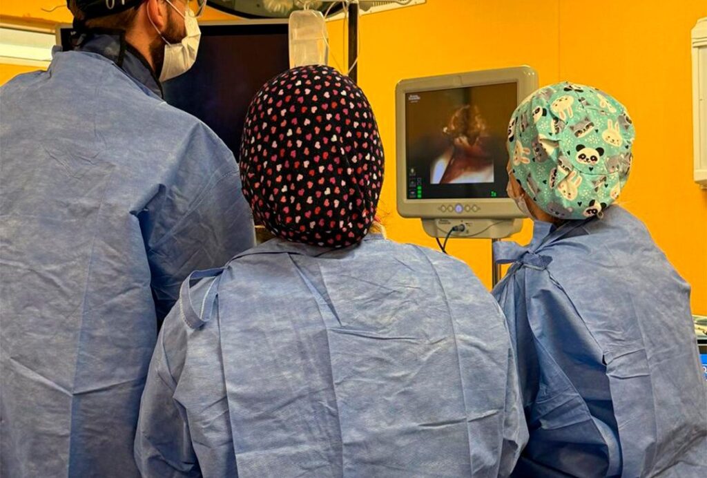 Realizaron en Misiones la primera cirugía urológica pediátrica mínimamente invasiva imagen-4