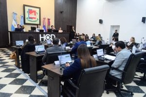 Balance legislativo en Posadas: más participación ciudadana y leyes para mejorar la calidad de vida imagen-8