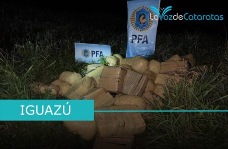 Narcotráfico: La Division Unidad Operativa de la Federal secuestró más de una tonelada de marihuana imagen-65