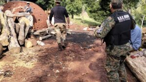 Desmantelan un campamento clandestino de cazadores furtivos en 9 de Julio imagen-1