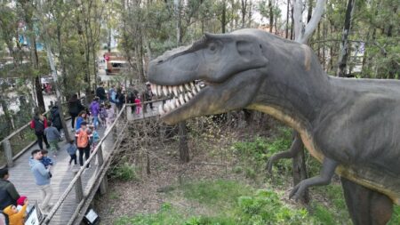 Vacaciones de invierno en Tecnópolis: guía de actividades y cómo reservar las entradas gratuitas imagen-7
