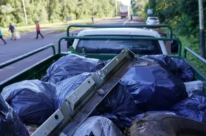 Jornada de limpieza en la ruta al Parque Nacional Iguazú: recolectaron tres camiones de basura imagen-3