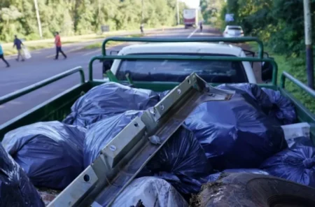 Jornada de limpieza en la ruta al Parque Nacional Iguazú: recolectaron tres camiones de basura imagen-100