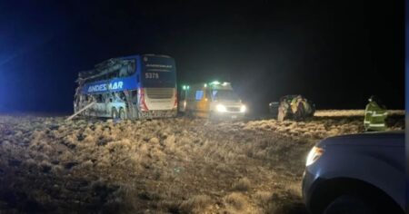 Trágico accidente en Santa Cruz: tres muertos en un choque entre un micro y un camión en la ruta 3 imagen-6
