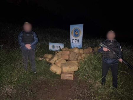 Incautan una tonelada de marihuana en la zona de Puerto Esperanza imagen-6