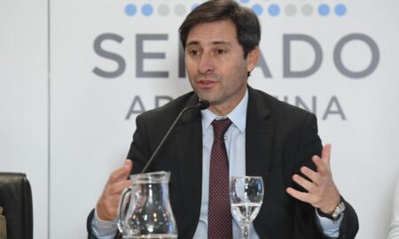 Goerling y su ausencia en votación de jubilaciones y discapacidad: “Fue ilegal” imagen-21