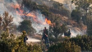 Incendios arrasan el sur de Europa en medio de una ola de calor sin precedentes: miles de evacuados y al menos diez muertos imagen-3