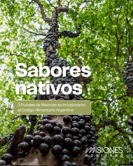 Tres frutales nativos de Misiones entraron al Código Alimentario Argentino imagen-8